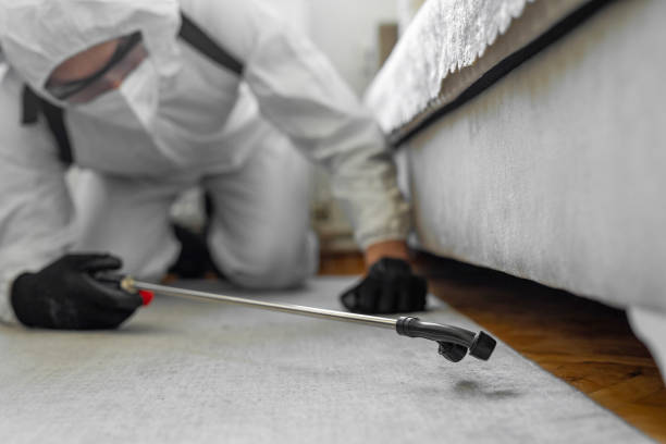 Professional Termite Control technician working in Briar, TX